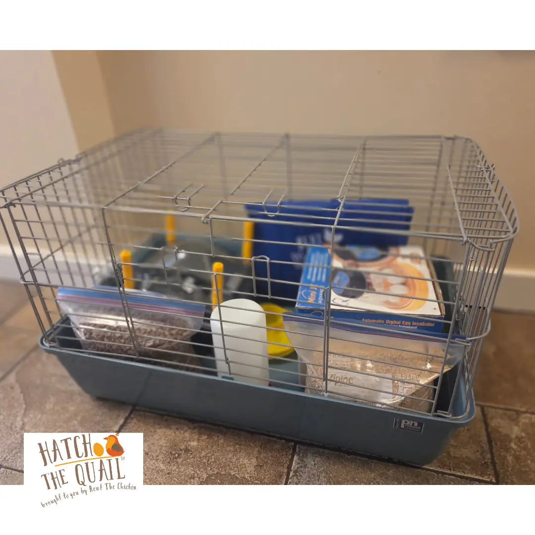 Hatch the Quail rental package