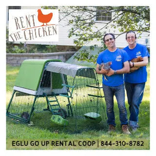 Rent The Chicken Farmer Joe's Gardens
