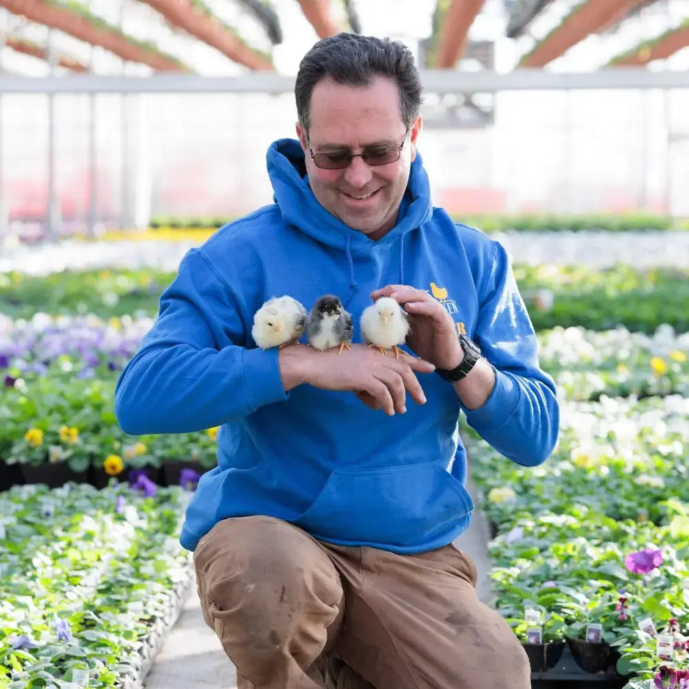 Hatch The Chicken Rental Package Farmer Joe's Gardens