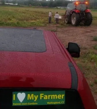 Pantry - Honey - Checking-On-New-Hive