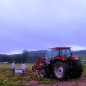 Pantry - Honey - Checking-On-New-Hive