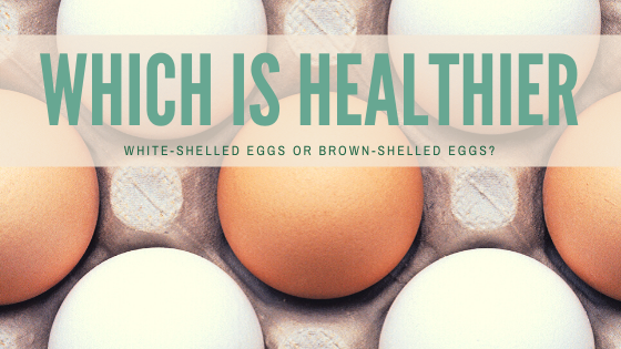 Which is healthier: white-shelled eggs or brown-shelled eggs?
